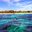 Превью-(10361) Isla Catalina