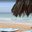 Превью-(10392) Punta Cana Surf Adventure