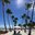 Превью-(10494) Playa Juanillo