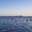 Превью-(10525) La Playa Publica Boca Chica