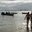 Превью-(10528) La Playa Publica Boca Chica