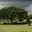 Превью-(10601) Tierra Alta Disc Golf Course
