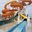 Превью-(10672) Ocean World Adventures