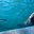 Превью-(10665) Ocean World Adventures