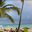 Превью-(10866) Playa Dominicos