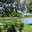 Превью-(10930) Guavaberry Golf&Country Club