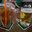 Превью-(11879) Tropical Murphy’s