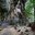 Превью-(12232) Пляж West Railay