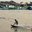 Превью-(12803) Парк водных развлечений Zanook Wake Park