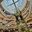 Превью-(12966) Торговый центр Central World Plaza в Бангкоке