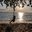 Превью-(13595) Пляж Lonely Beach