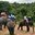 Превью-(14026) Парк Hua Hin Safari