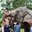 Превью-(8599) Khao Сhee Сhan Elephant Village