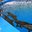 Превью-(8836) Дельфинарий Dolphinarium