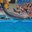 Превью-(8841) Дельфинарий Dolphinarium
