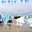 Превью-(9074) Frost Magical Ice of Siam