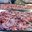 Превью-(9448) Makro Food Service