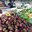 Превью-(9586) Продуктовый рынок Ват Бун
