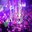 Превью-(9768) Raas Club