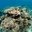 Превью-(9913) Дайв-центр Igors Dive Center