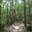 Превью-(10339) Indigenous Eyes Ecological