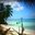 Превью-(10355) Isla Saona