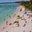 Превью-(10359) Isla Saona