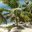 Превью-(10352) Isla Saona