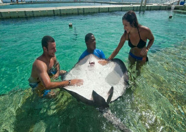 Marinarium