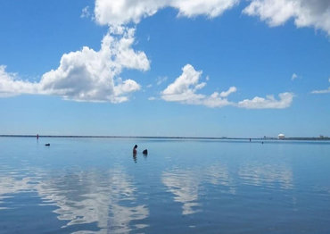 La Playa Publica Boca Chica