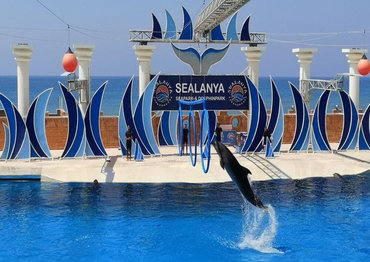 Дельфинарий «Sealanya»