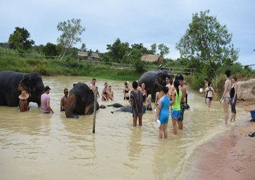 Elephant Jungle Sanctuary Pattaya