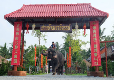 Khao Сhee Сhan Elephant Village