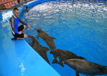 Дельфинарий Dolphinarium