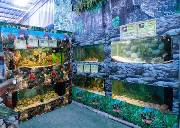 Океанариум Monsters Aquarium