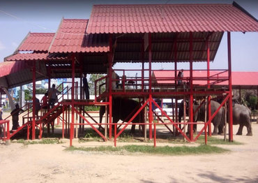 Парк Camp Chang