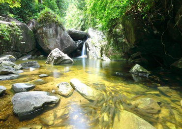 Национальный парк Khao Chamao