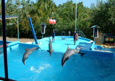 Manati Park