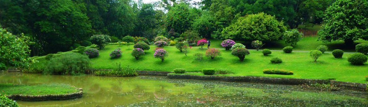 Королевский ботанический сад Перадения