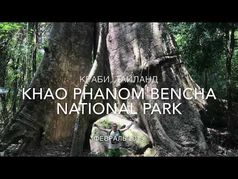 Национальный парк Кхао Пханом Бенч \ Khao Phanom Bencha National Park - февраль 2018