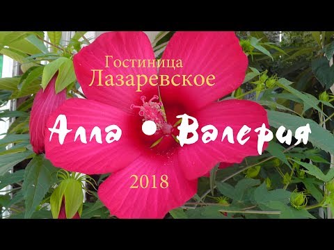 Гостиница Алла-Валерия - Бирюзовая 10А Лазаревское 2018 год