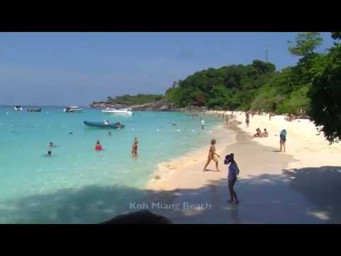 Best of Similan Island - Trip one day Andaman Sea - Thailand