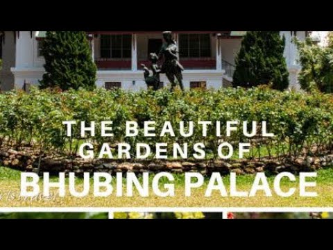 Bhubing palace/ Bhubing garden/ chiang mai garden/ bhubing vlogs