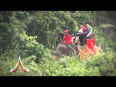 Pattaya Attractions - Chang Thai Thong Safari