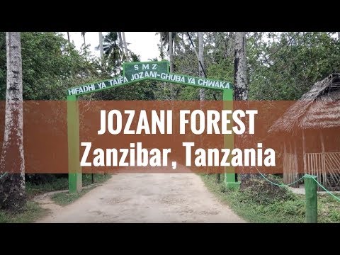 Jozani Forest, Zanzibar