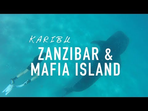 Zanzibar & Mafia Island - a trip to Tanzania