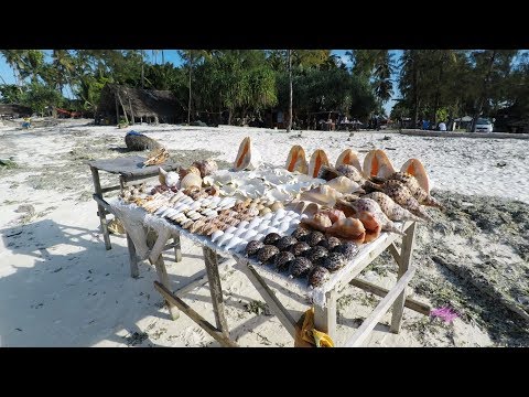Mnarani Turtle Lagoon, Nungwi, Zanzibar GoPro 1080p