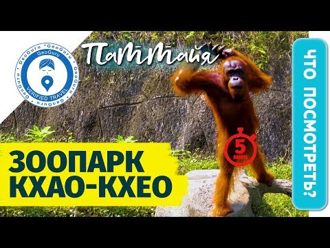 Зоопарк в Паттайе 2018. Открытый зоопарк Кхао Кхео.  ПАТТАЙЯ