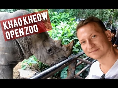 Khao Kheow Open Zoo in Pattaya - Review, 2018