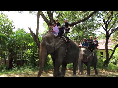 Thailand Tour Attractions - Pattaya Elephent Village